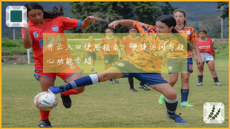 开云入口使用指南：便捷访问与核心功能介绍